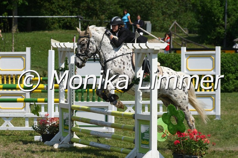 105M2049_Hedonis_Spring Stil_E.JPG